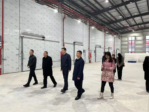 中国果品流通协会会长鲁芳校一行到四川供销为农服务(资中)产业园调研
