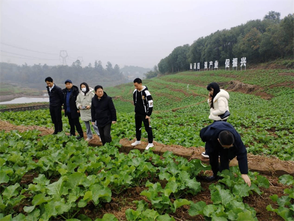 春耕备耕进行时——四川供销在行动系列报道②
